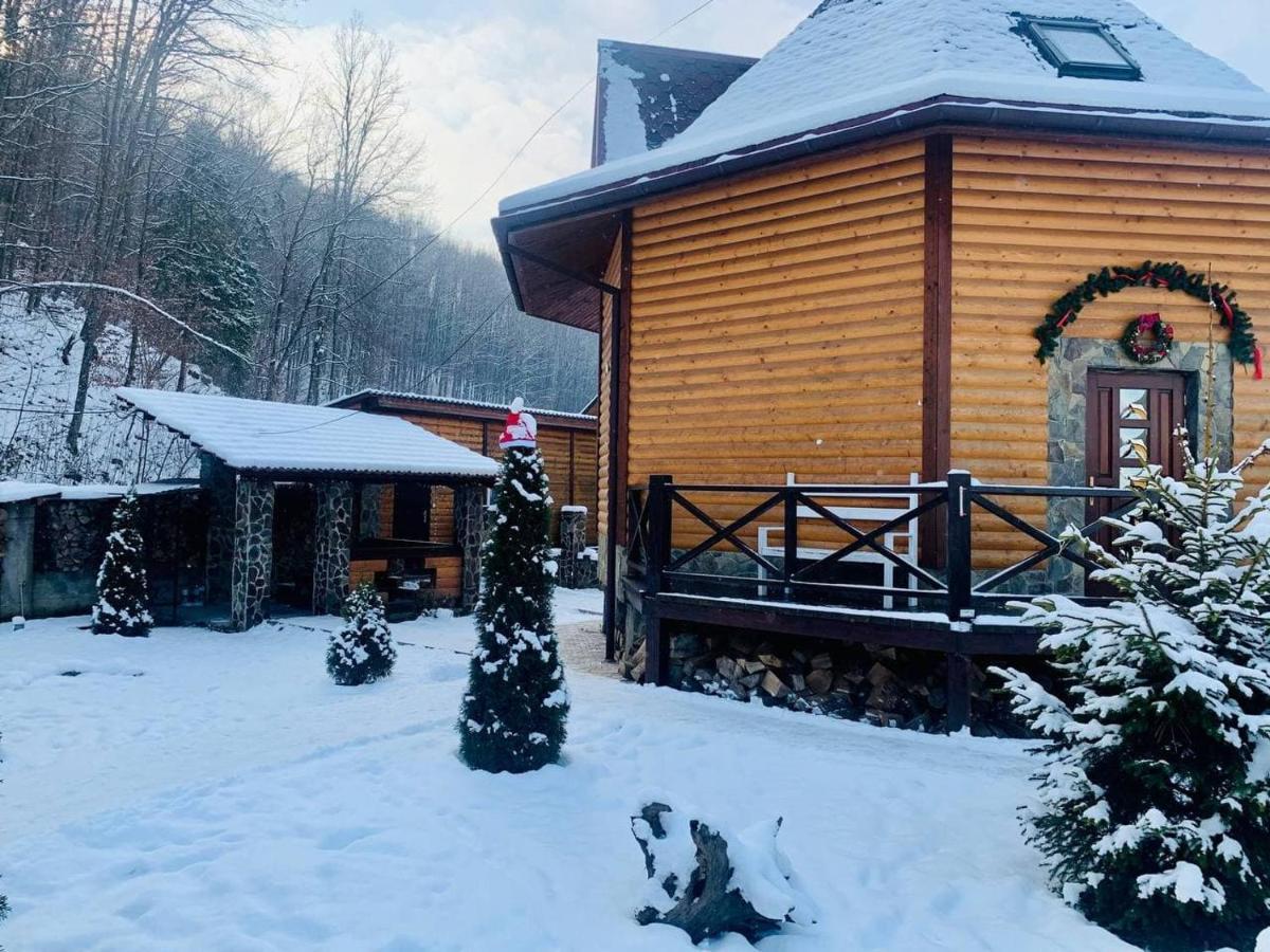 Chalet Vedmezhe Polyana  Exterior foto