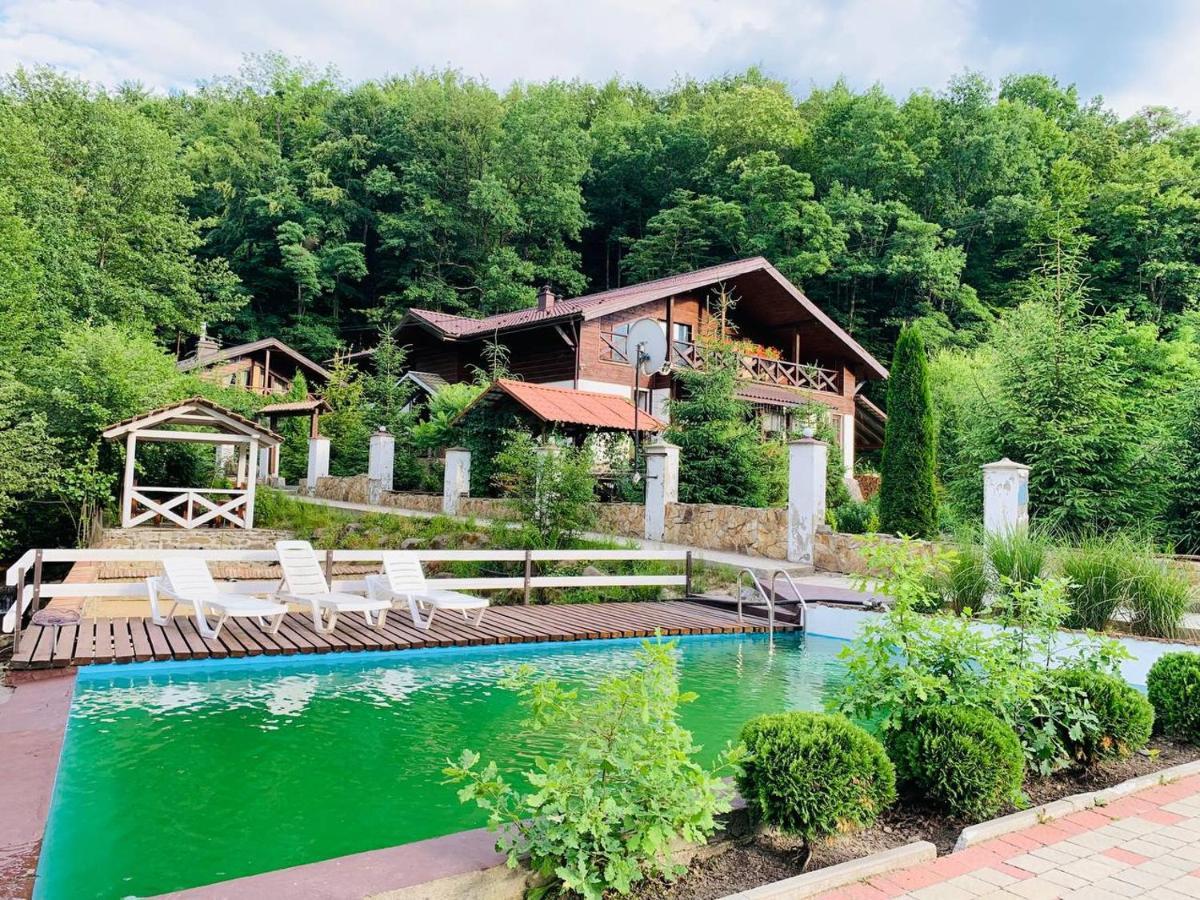 Chalet Vedmezhe Polyana  Exterior foto